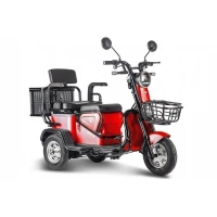 Электрический трицикл Rutrike Навигатор Красный