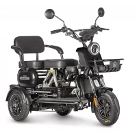 Электротрицикл Wanshida UN MOTO 60V 650Вт